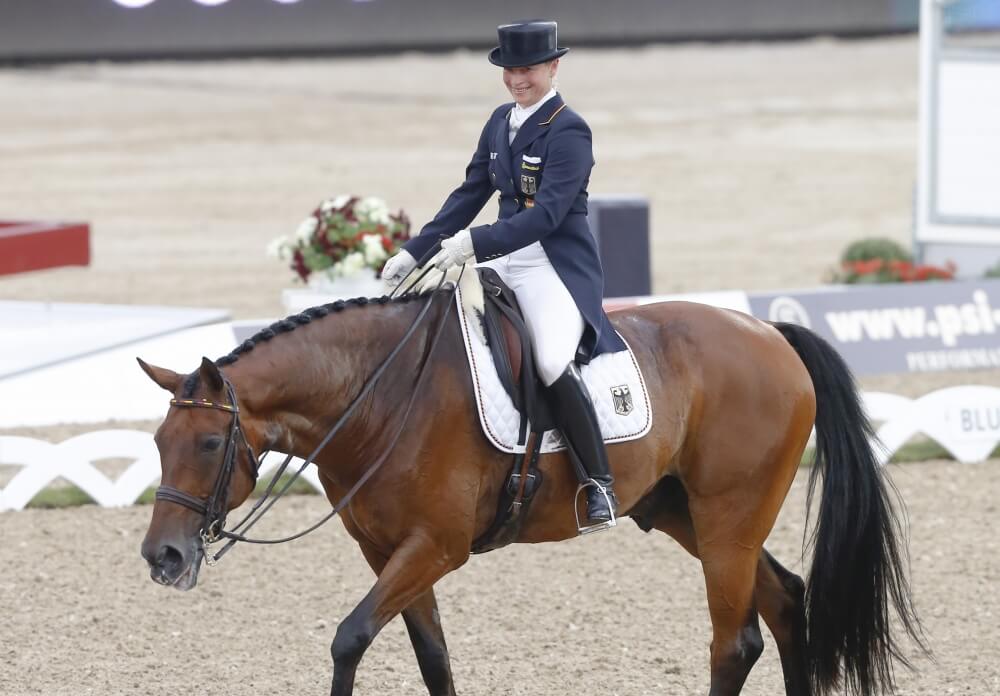 Equissage Pulse et respiration du cheval