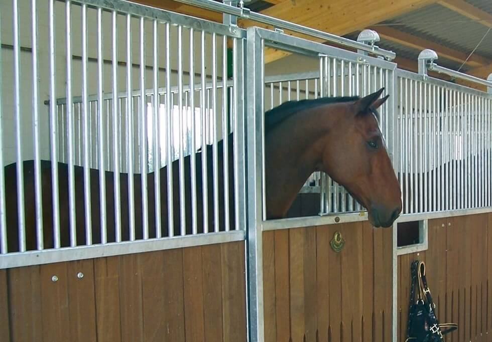 Cheval Immobilisé au Box