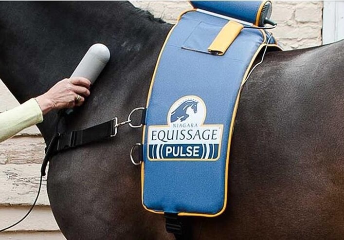 Equissage Pulse pour tous !