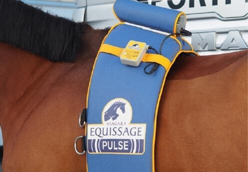 Equissage Pulse