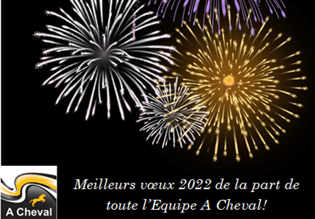 Bonne année 2022!