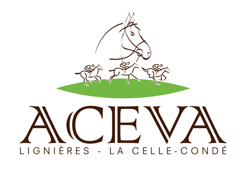 A CHEVAL au CCI de Lignières