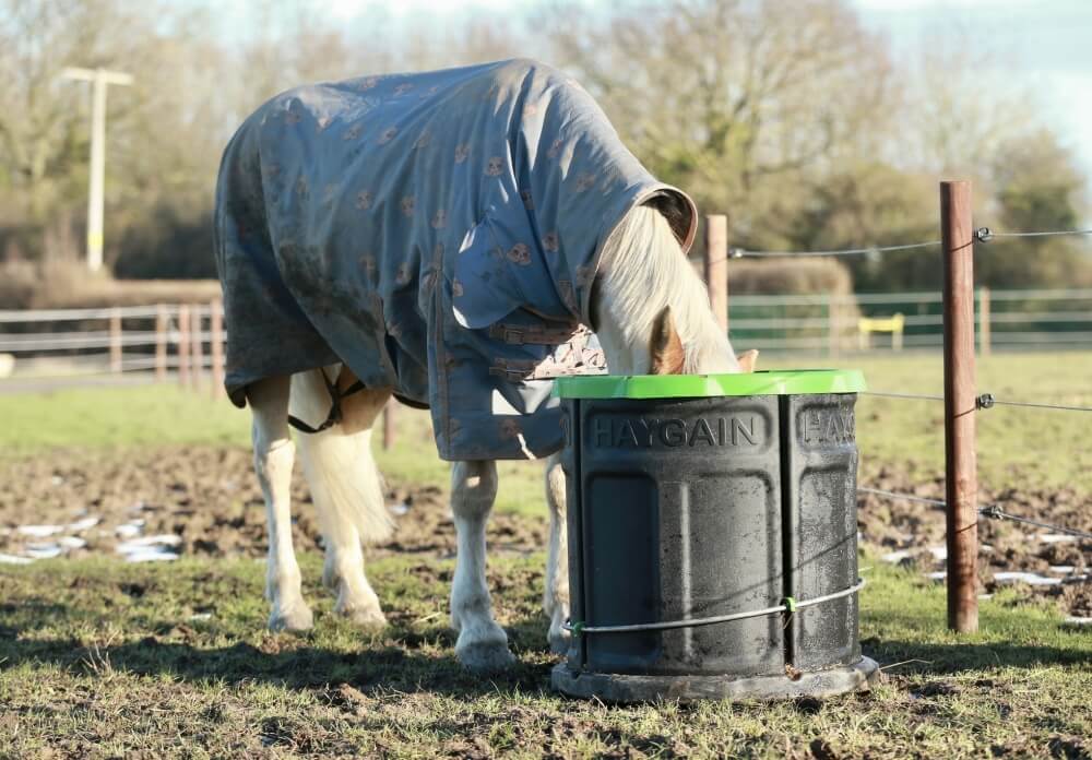 Râtelier slowfeeder Forager de Haygain