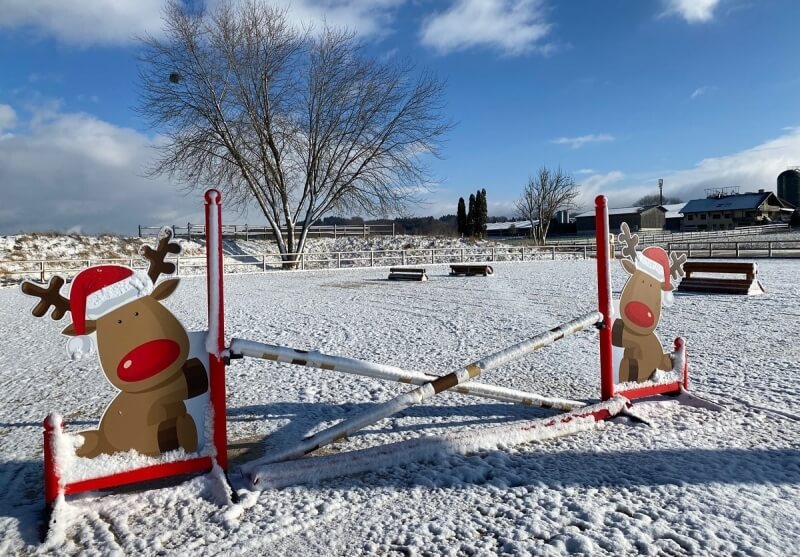 Bonne fêtes de fin d'année!