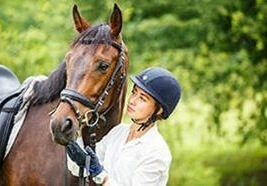 Mon cheval tousse qu'est-ce-que je peux faire?