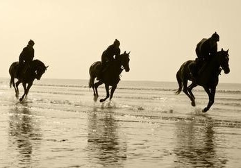 Comprendre et reconnaître la fatigue chez le cheval