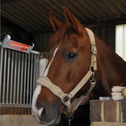 Photo produit Solarium pour chevaux