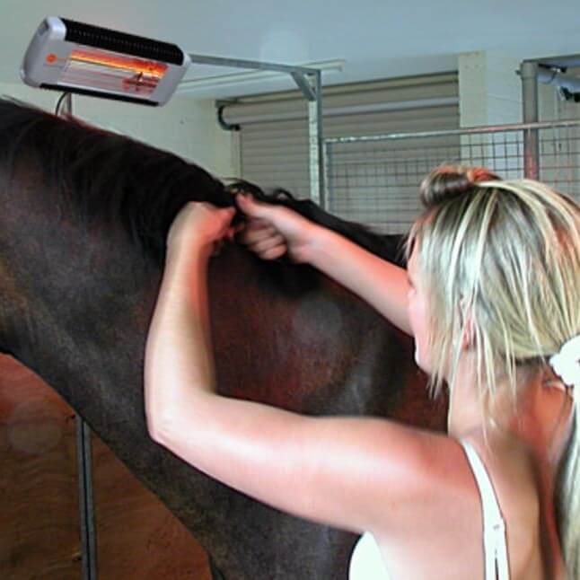 Photo produit Solarium pour chevaux