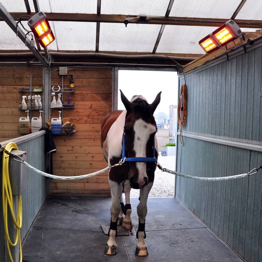 Photo produit Solarium pour chevaux