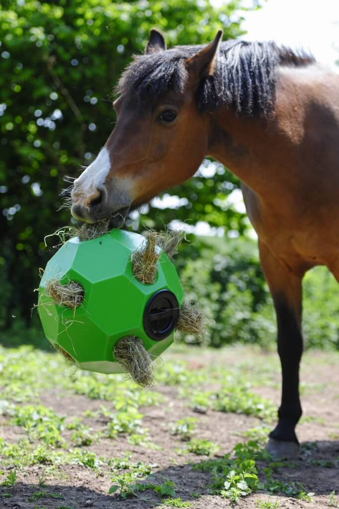 Photo produit Balle foin chevaux