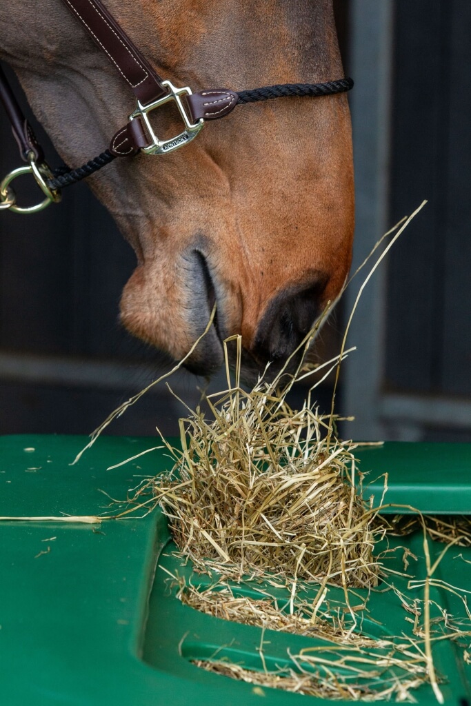 Photo produit Râtelier chevaux