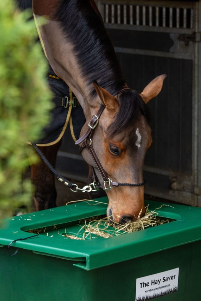 Photo produit Slowfeeder cheval Haysaver