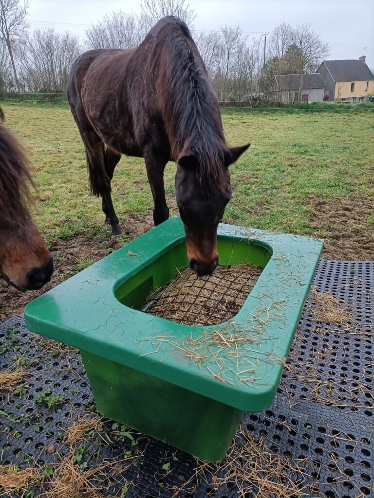 Photo produit Ratelier chevaux slow feeder cheval