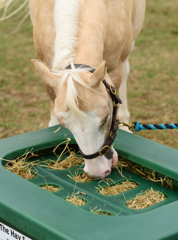 Photo produit Slowfeeding chevaux