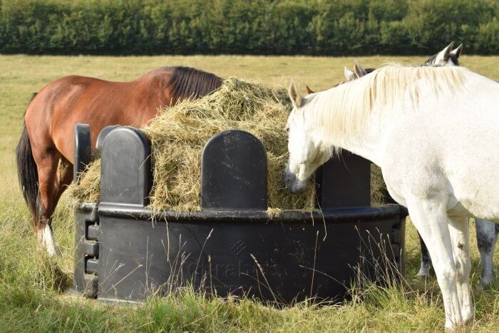 Photo produit Râtelier plastique Durabale chevaux