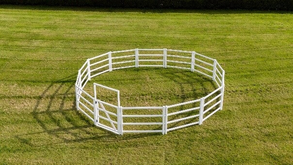 Photo produit Rond de longe chevaux