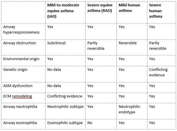 Similitudes asthme équin et humain